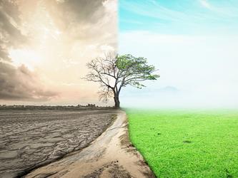 Half drought and half abundant green grass image